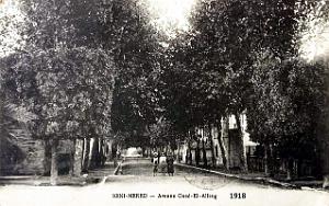 Beni-Mered - Avenue d'Oued-el-Alleug - 1918